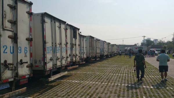 �ֵܰ�ҳ���