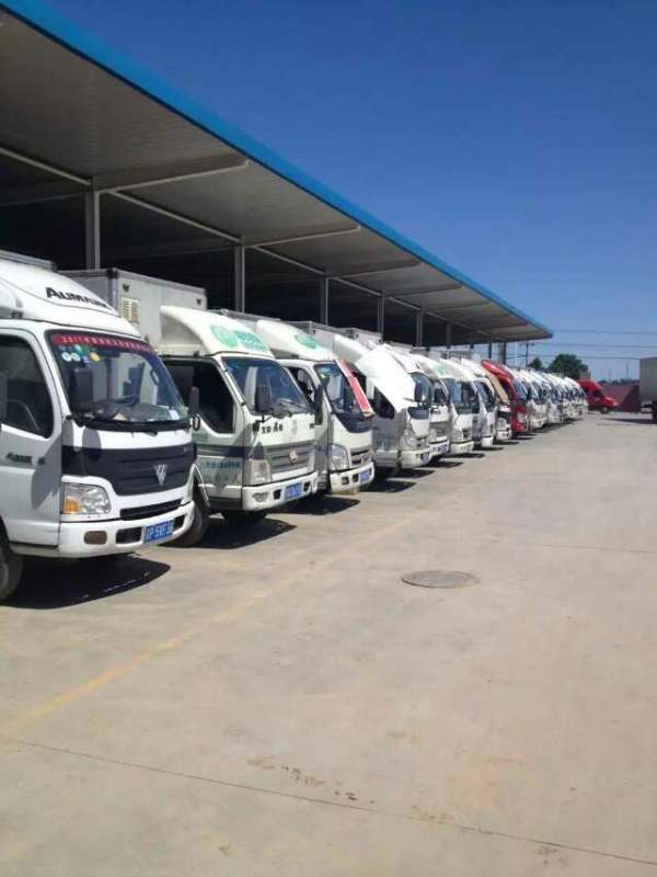 �����ֵܰ�ҹ�˾����