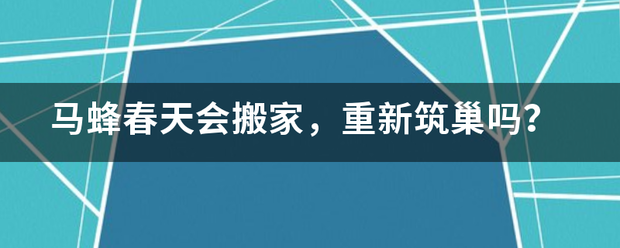 马蜂搬家
